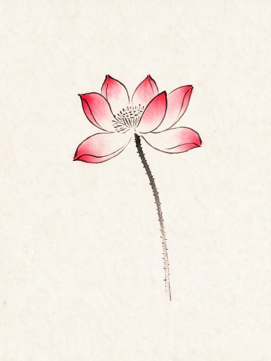 花开不是为了取悦谁，是它自己忍不住要开。